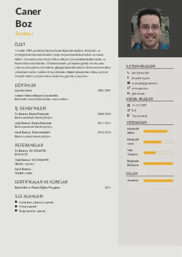 cv indir